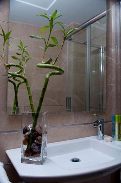 Hotel San Sebastian Hospederia Cieza Luaran gambar